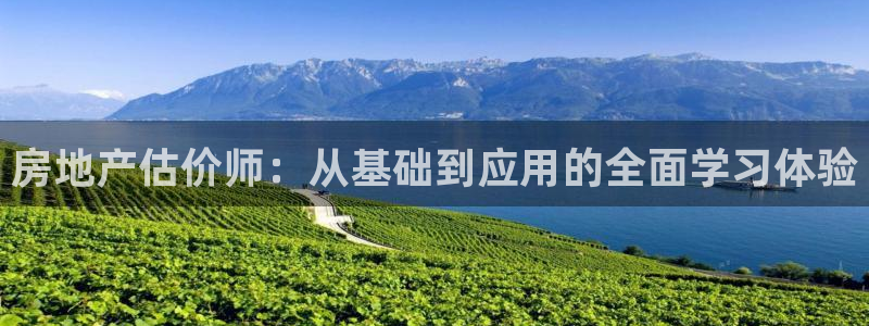 风暴平娱乐：房地产估价师：从基础到应用的全面学习体验