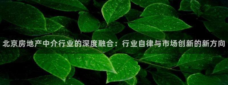 风暴眼娱乐：北京房地产中介行业的深度融合：行业自律与市场创新