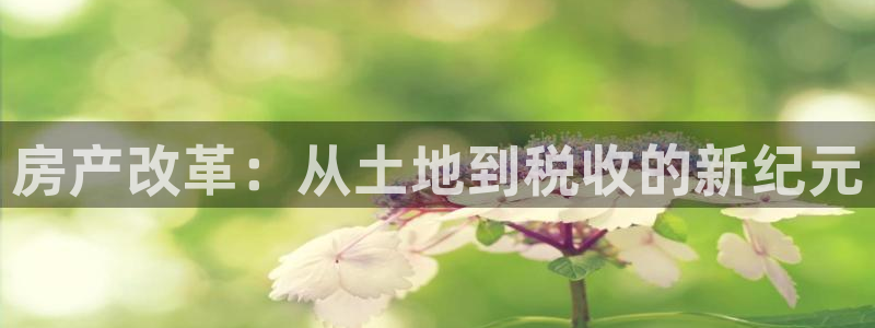 娱乐风暴2：房产改革：从土地到税收的新纪元