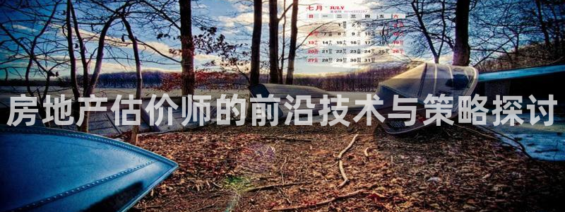 风暴娱乐汇：房地产估价师的前沿技术与策略探讨