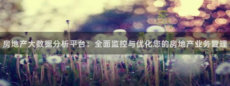 娱乐风暴港：房地产大数据分析平台：全面监控与优化您的房地产业