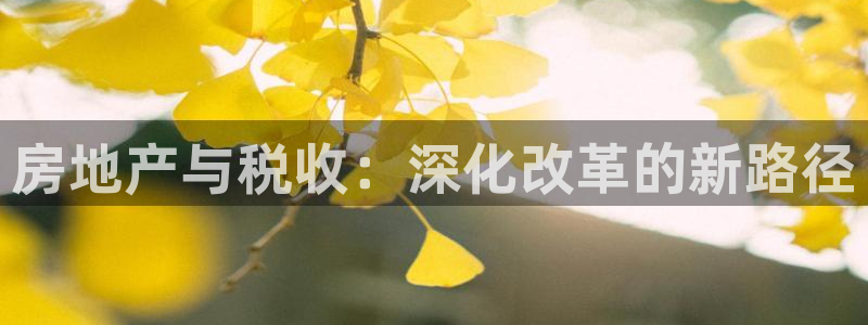 风暴娱乐求333OOf：房地产与税收：深化改革的新路径
