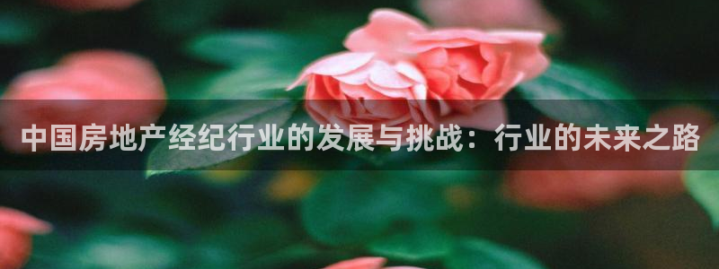 娱乐风暴二：中国房地产经纪行业的发展与挑战：行业的未来之路