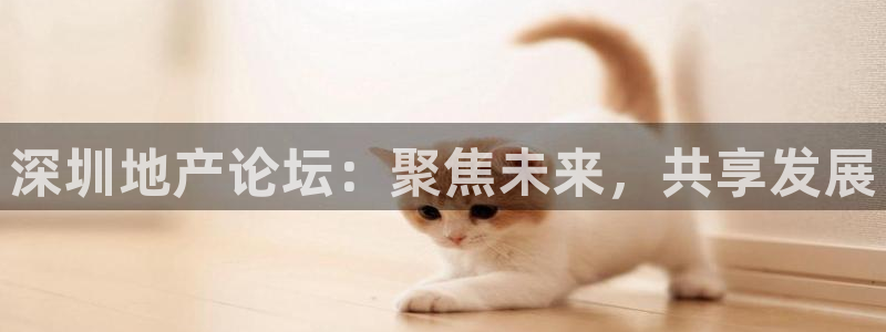 风暴娱乐1：深圳地产论坛：聚焦未来，共享发展