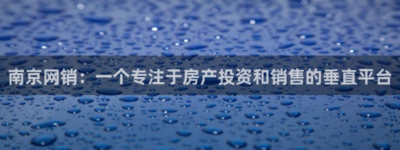 风暴娱乐部：南京网销：一个专注于房产投资和销售的垂直平台