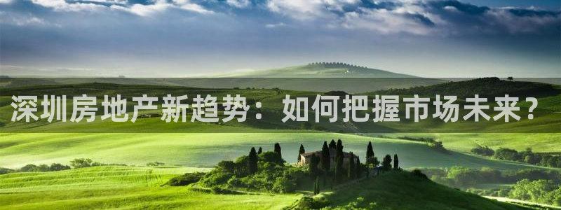 娱乐风暴系统：深圳房地产新趋势：如何把握市场未来？