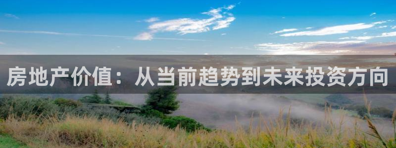 蓝色风暴娱乐：房地产价值：从当前趋势到未来投资方向