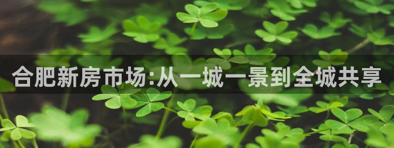 风暴大厅娱乐：合肥新房市场:从一城一景到全城共享