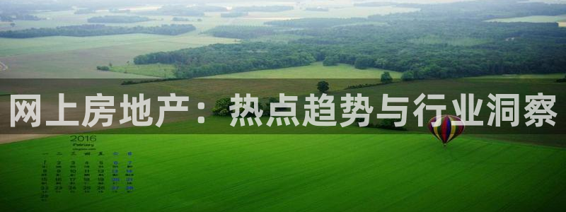 风暴新娱乐：网上房地产：热点趋势与行业洞察