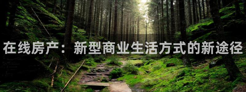 光风暴娱乐：在线房产：新型商业生活方式的新途径