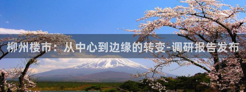 风暴娱乐左5指尖：柳州楼市：从中心到边缘的转变-调研报告发布