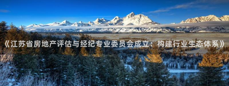 风暴娱乐这个平台靠谱：《江苏省房地产评估与经纪专业委员会成立