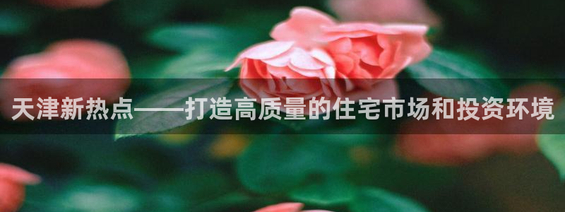 风暴娱乐首页：天津新热点——打造高质量的住宅市场和投资环境