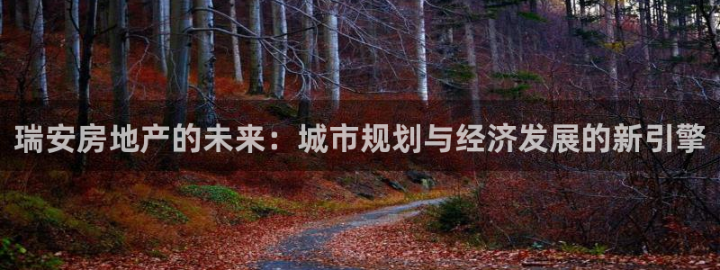 风暴大厅娱乐：瑞安房地产的未来：城市规划与经济发展的新引擎