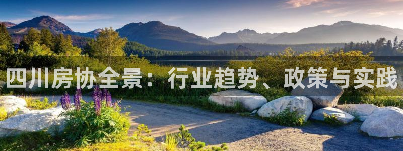 风暴娱乐代理登录：四川房协全景：行业趋势、政策与实践