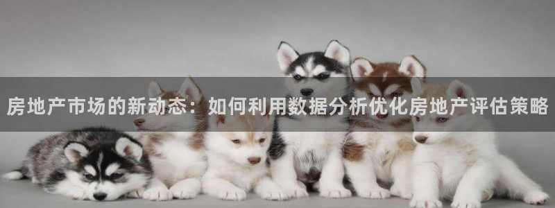 风暴娱乐厅：房地产市场的新动态：如何利用数据分析优化房地产评