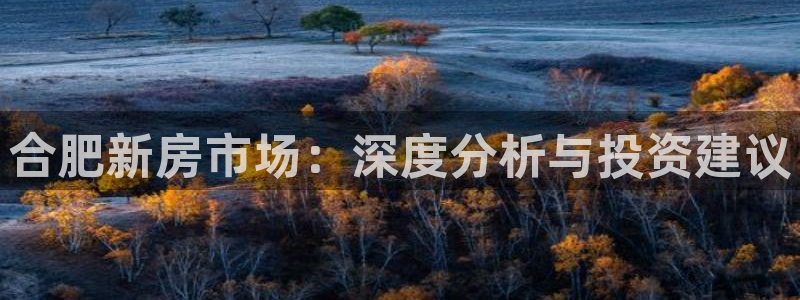 娱乐星空风暴：合肥新房市场：深度分析与投资建议