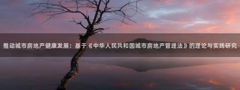 风暴娱乐下载：推动城市房地产健康发展：基于《中华人民共和国城