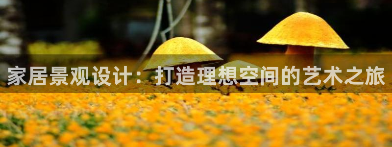 风暴娱乐1：家居景观设计：打造理想空间的艺术之旅