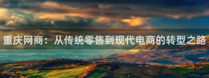 风暴娱乐：重庆网商：从传统零售到现代电商的转型之路