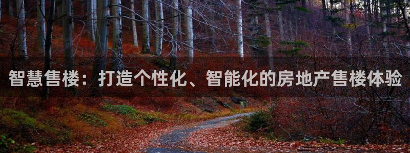 4120051风暴娱乐：智慧售楼：打造个性化、智能化的房地产