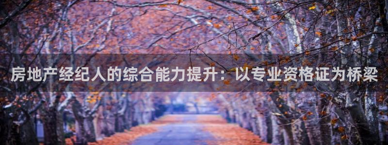 风暴娱乐厅：房地产经纪人的综合能力提升：以专业资格证为桥梁