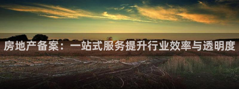 娱乐风暴App：房地产备案：一站式服务提升行业效率与透明度