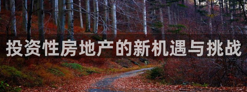 风暴娱乐客服：投资性房地产的新机遇与挑战
