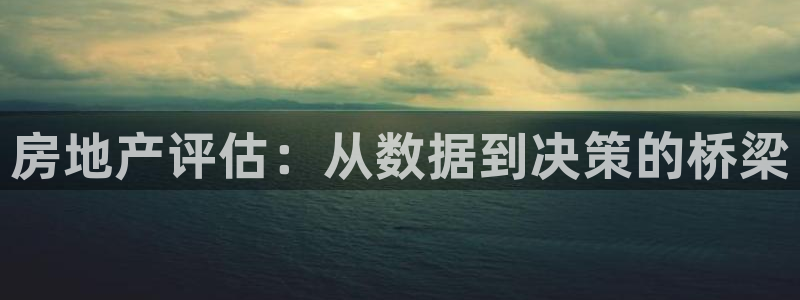风暴娱乐派对：房地产评估：从数据到决策的桥梁