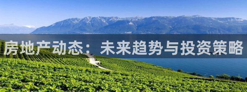 风暴娱乐自动挂：房地产动态：未来趋势与投资策略