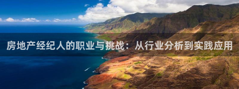 娱乐风暴合集：房地产经纪人的职业与挑战：从行业分析到实践应用