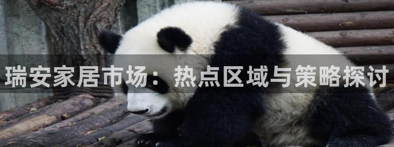 风暴娱乐这个平台靠谱：瑞安家居市场：热点区域与策略探讨