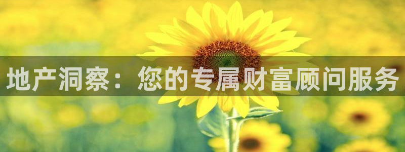 风暴娱乐银川：地产洞察：您的专属财富顾问服务