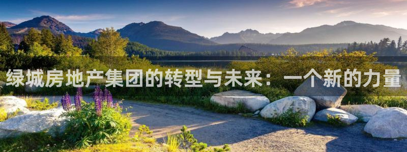 风暴娱乐40996：绿城房地产集团的转型与未来：一个新的力量
