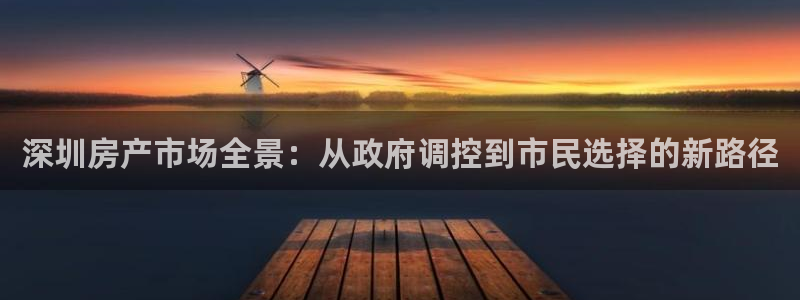 风暴娱乐部：深圳房产市场全景：从政府调控到市民选择的新路径