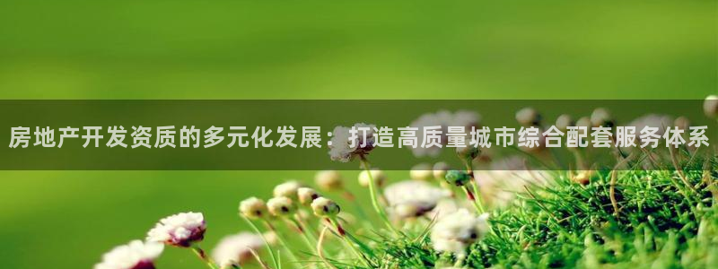 风暴娱乐代理登录：房地产开发资质的多元化发展：打造高质量城市