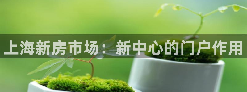 娱乐风暴2：上海新房市场：新中心的门户作用