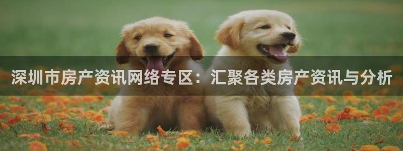 风暴娱乐乃六七五一38：深圳市房产资讯网络专区：汇聚各类房产