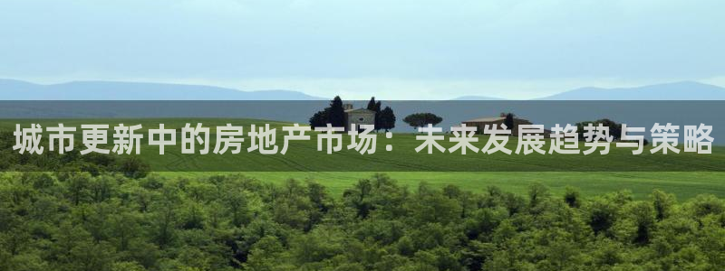 风暴娱乐拉菲8：城市更新中的房地产市场：未来发展趋势与策略