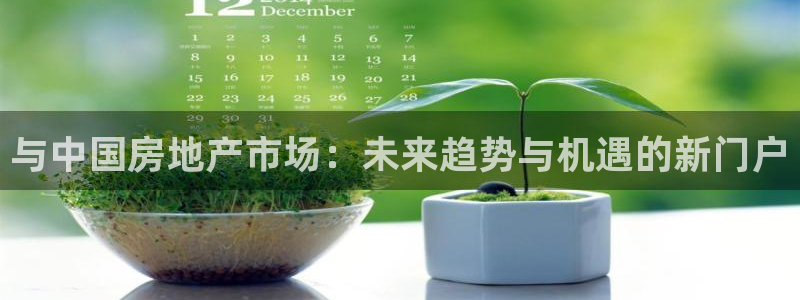 风暴新娱乐：与中国房地产市场：未来趋势与机遇的新门户