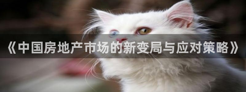 风暴娱乐待遇：《中国房地产市场的新变局与应对策略》