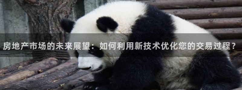 风暴官方娱乐：房地产市场的未来展望：如何利用新技术优化您的交