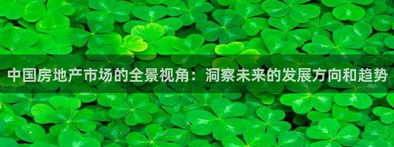 风暴娱乐客服：中国房地产市场的全景视角：洞察未来的发展方向和
