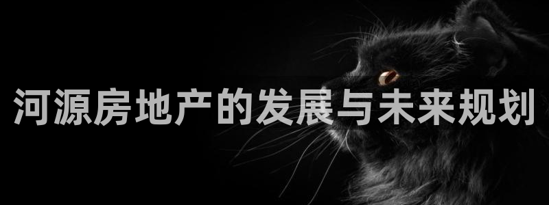 风暴娱乐月5指尖：河源房地产的发展与未来规划