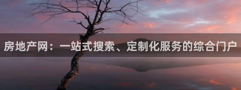风暴英雄娱乐：房地产网：一站式搜索、定制化服务的综合门户
