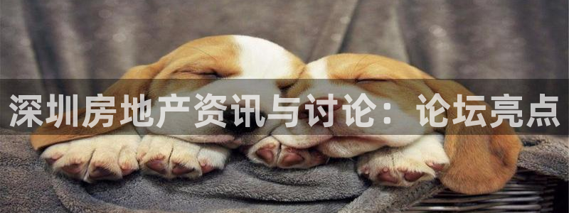 风暴英雄娱乐：深圳房地产资讯与讨论：论坛亮点