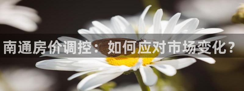 风暴娱乐登录网址：南通房价调控：如何应对市场变化？