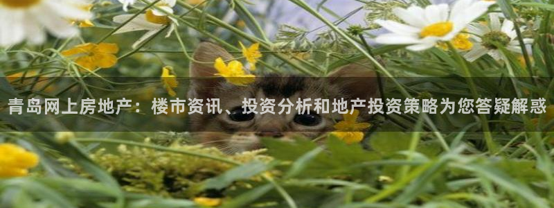 风暴娱乐5O6917：青岛网上房地产：楼市资讯、投资分析和地