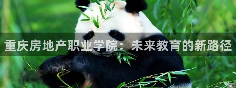 风暴娱乐上5指尖：重庆房地产职业学院：未来教育的新路径