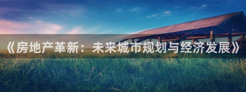 娱乐风暴二：《房地产革新：未来城市规划与经济发展》